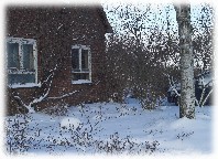 Vorderansicht des Hauses